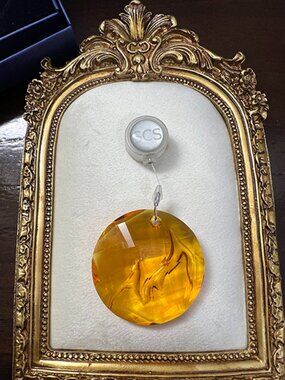 Swarovski | SCS Fire Orange Crystal Society Earth Ornament / Suncatcher #1017151